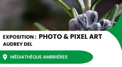 Affiche Expo Photo & Pixel art Ambrières  - Réseau Lecture et Audrey Del