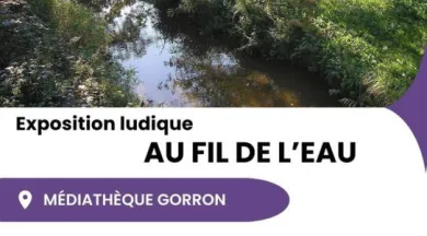 Affiche Expo ludique au fil de l'eau - Réseau Lecture