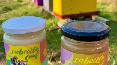 L'abeille cool - ©L'abeille cool