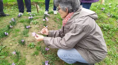 Visite de l'exploitation - CCMA