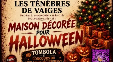Les ténèbres de Vaiges - Radigue Bryan fait avec L’IA