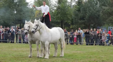 fête percheron - Cédric Lebreton
