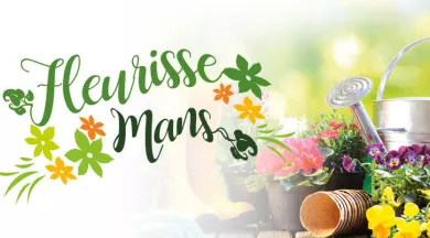 825x400PX_AGENDA_SITE - VDM