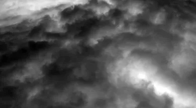 expo nuage - arche de la nature