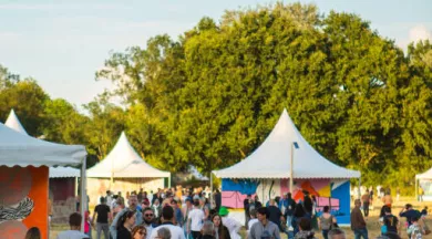 festival plein champ 2 - https://pleinchamplemans.fr/