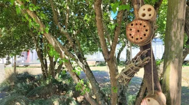 Hotel à insectes - ©Ile Moulinsart