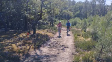 vélo en forêt - B GRIFFATON