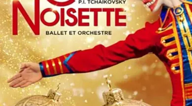 VERTICAL-Long-CASSE-25-350x524 - Antares