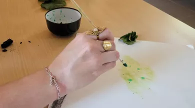 Palette Végétale2 - ©Ile Moulinsart