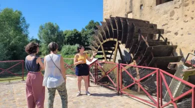 Visite Moulin (Medium) - Ile MoulinSart
