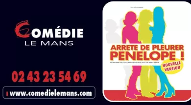 Design sans titre (4) - comedielemans