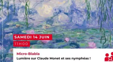 Micro-Blabla : Claude Monet - Les nymphéas - Claude Monet © RMN Grand Palais (musée de l’Orangerie) 