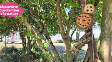 2025_hotel-a-insectes - Communauté de commune du Val de Sarthe