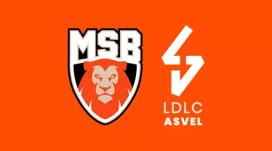 msb ldlc asvel - MSB