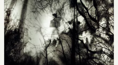 ECCLESIASTE 7.24 G - © Carole Benzaken, ADAGP, Paris, 2025 / David Bordes