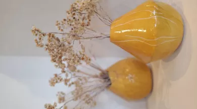 20251110_110202 - fannygueniot