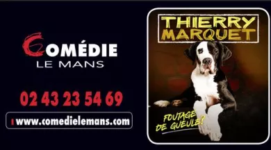 thierry marquet - comedielemans