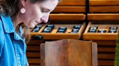 Atelier Vézanne Malicorne HD-34 - Stevan Lira