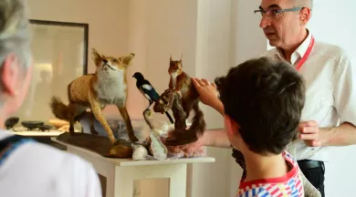 CP- atelier la taxidermie c'est tripant (3) - © Ville du Mans