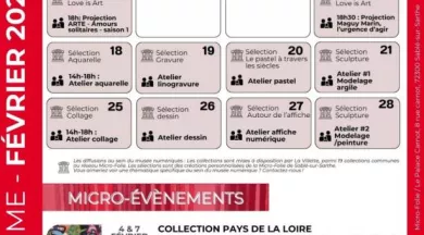 Février  - Micro-Folie sablé 