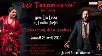 Flamenco en vivo - stage Eva Luisa - @dansesetvibrations