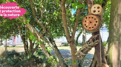 2025_hotel-a-insectes - Communauté de commune du Val de Sarthe