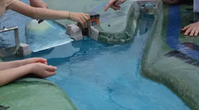 rivière (Medium) (2) - Ile MoulinSart