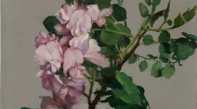 Étude de fleurs roses - © Irwin Leullier