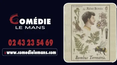 Rémi Boyes - Comédie Le Mans