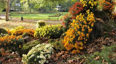 Vue dans le jardin de Tessé - Ville du Mans