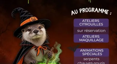 Halloween au Spaycific'Zoo !  - Spaycific'Zoo 