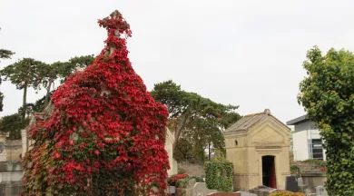 Cimetière de l'est - Angers_1 - Destination Angers