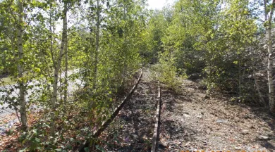 Visite : Découverte de l'histoire de l'ardoise de Trélazé_Trélazé_5 - ©Amis du patrimoine de Trélazé
