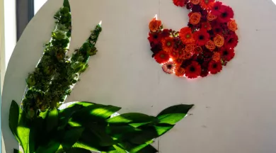 Exposition Florale_Angers_2 - Expo flo