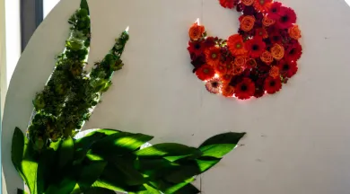 Exposition Florale_Angers_2 - Expo flo