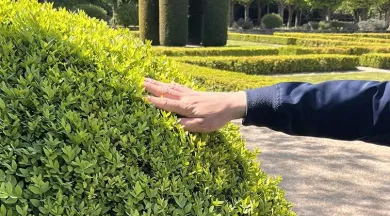 Visite commentée : Les jardins sur le bout des doigts_Angers_1 - Domaine national du Château d'Angers