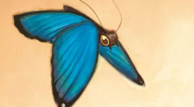 Visite commentée de l'exposition "Songes de Papier"_Angers_1 - Benjamin Lacombe