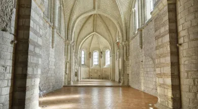 Choeur de la Collégiale Saint-Martin_1 - Bertrand Béchard