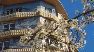 Bulles de Culture Matinales Mini_Angers_1 - Odile Wibault