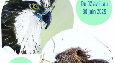 affiche expo_1 - Loire Odyssée