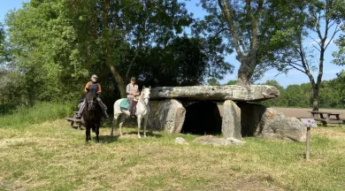 Chevaux pierre cesée_1 - Mairie de Rives-du-Loir-en-Anjou