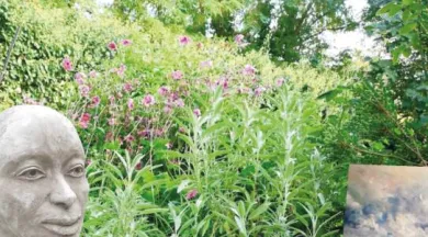 Arts et jardins_1 - La Roche Ambul