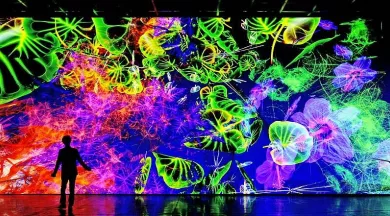Exposition : Digital Floralia de Miguel Chevalier_Angers_1 - Thomas Granovsky