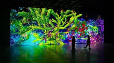 Nocturnes Exposition Digital Floralia_Angers_1 - ©Thomas Granovsky