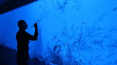 Exposition : Eric Eriston Winarto : Blacklight Selva 2015_Angers_1 - ©Alain Chudeau