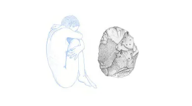 Exposition : Elodie Verdier : Origine_Angers_1 - Elodie Verdier