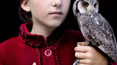 Exposition : Nouvelles acquisitions_Angers_1 - © Tina Merandon, série Anima 9, 2014, impression jet d'encre