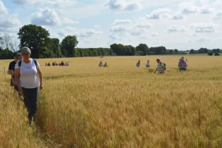 2025 06 le 15 La Juvardeillaise 0110 - ©randodes3rivières