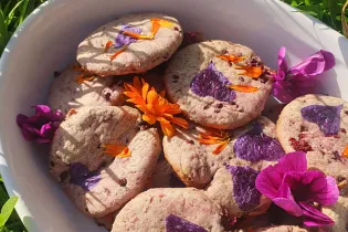 rendez-vous-nature-49-fma-photo2 - ©anjou département