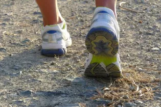 rando ©Csaba Nagy de Pixabay - Csaba Nagy de Pixabay